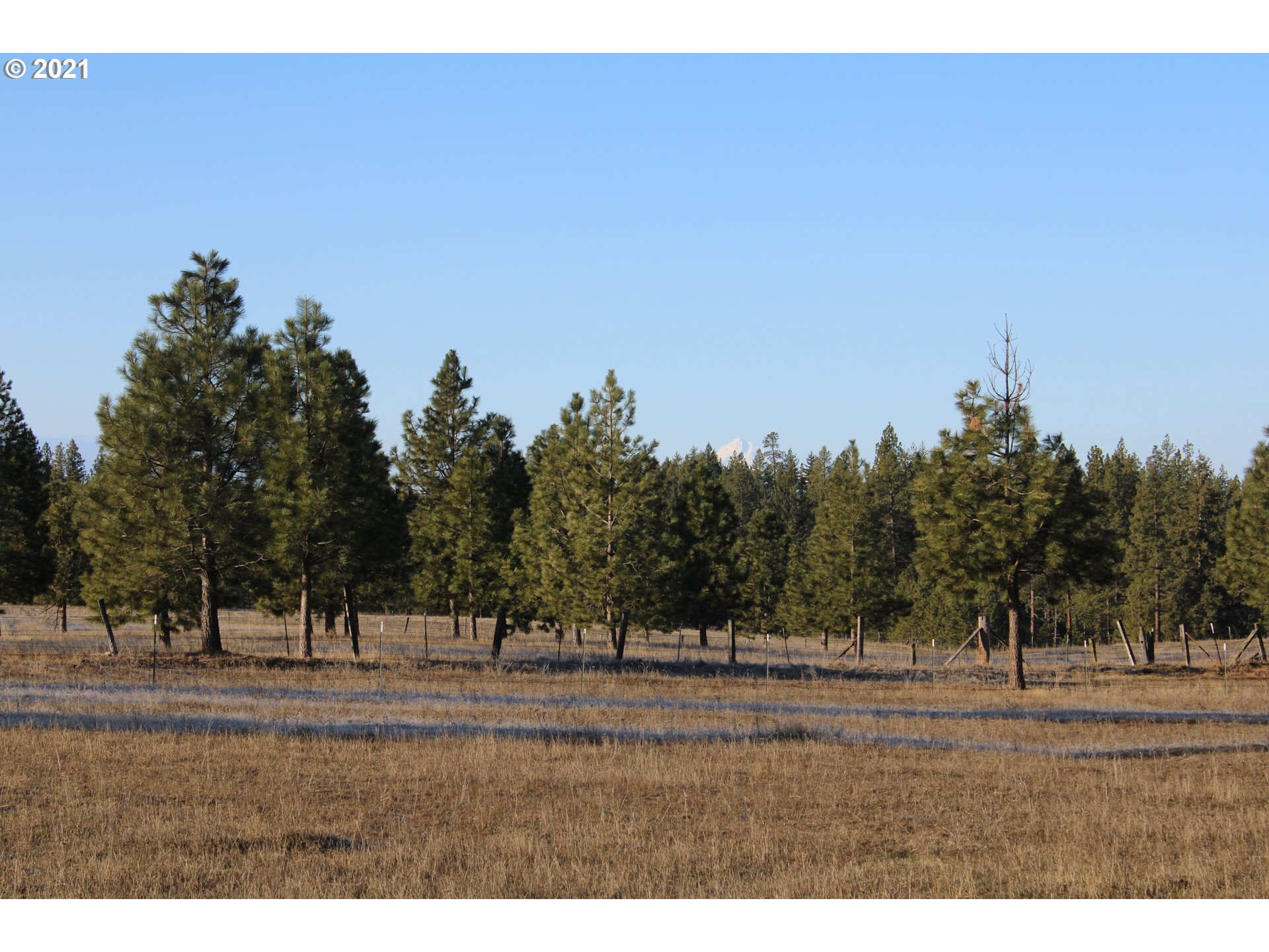 Meech Road, Unit 3 Goldendale, WA 98620 - Photo 6 of 10 Gallery Image 6