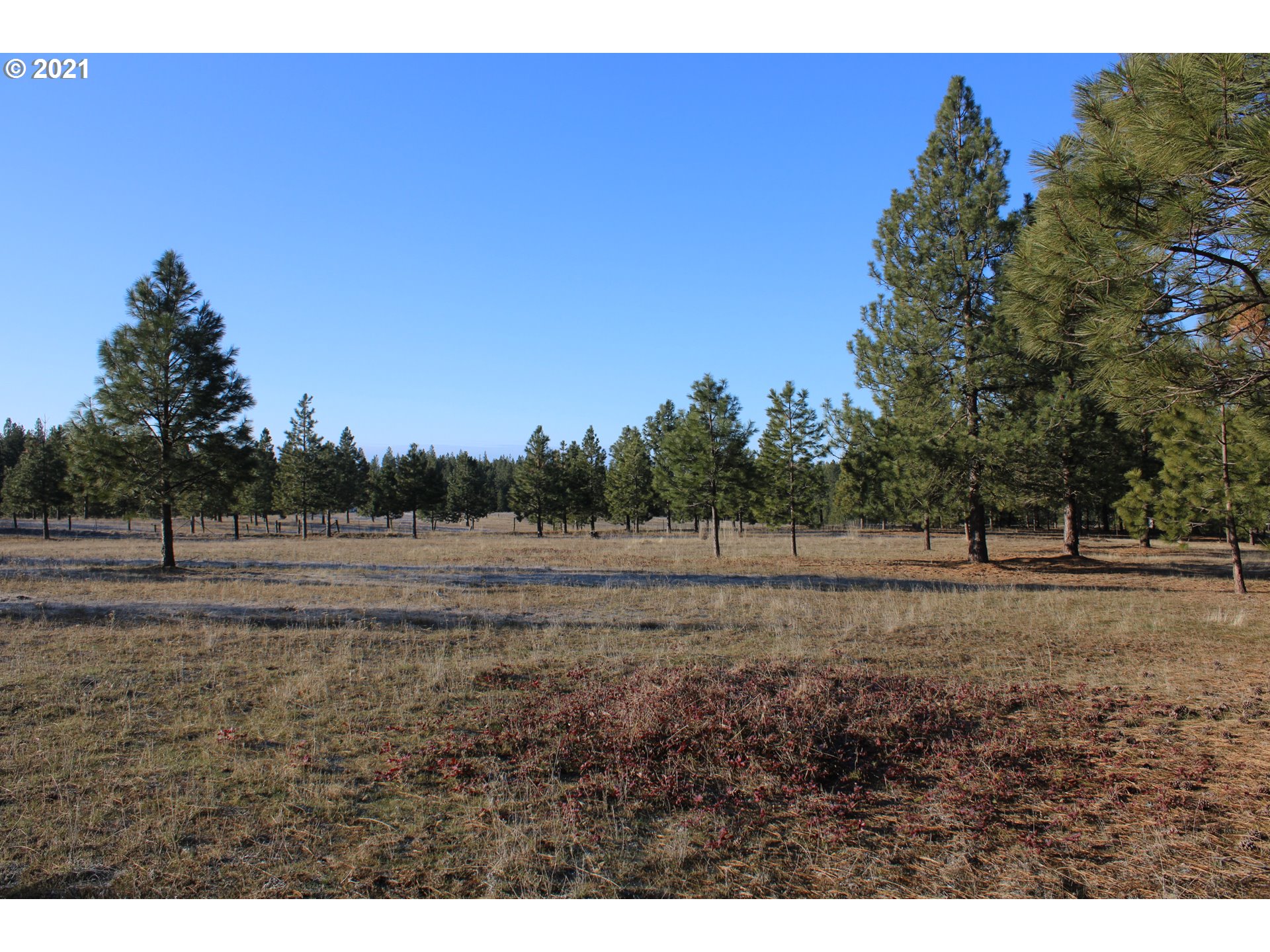 Meech Road, Unit 3 Goldendale, WA 98620 - Photo 8 of 10 Gallery Image 8