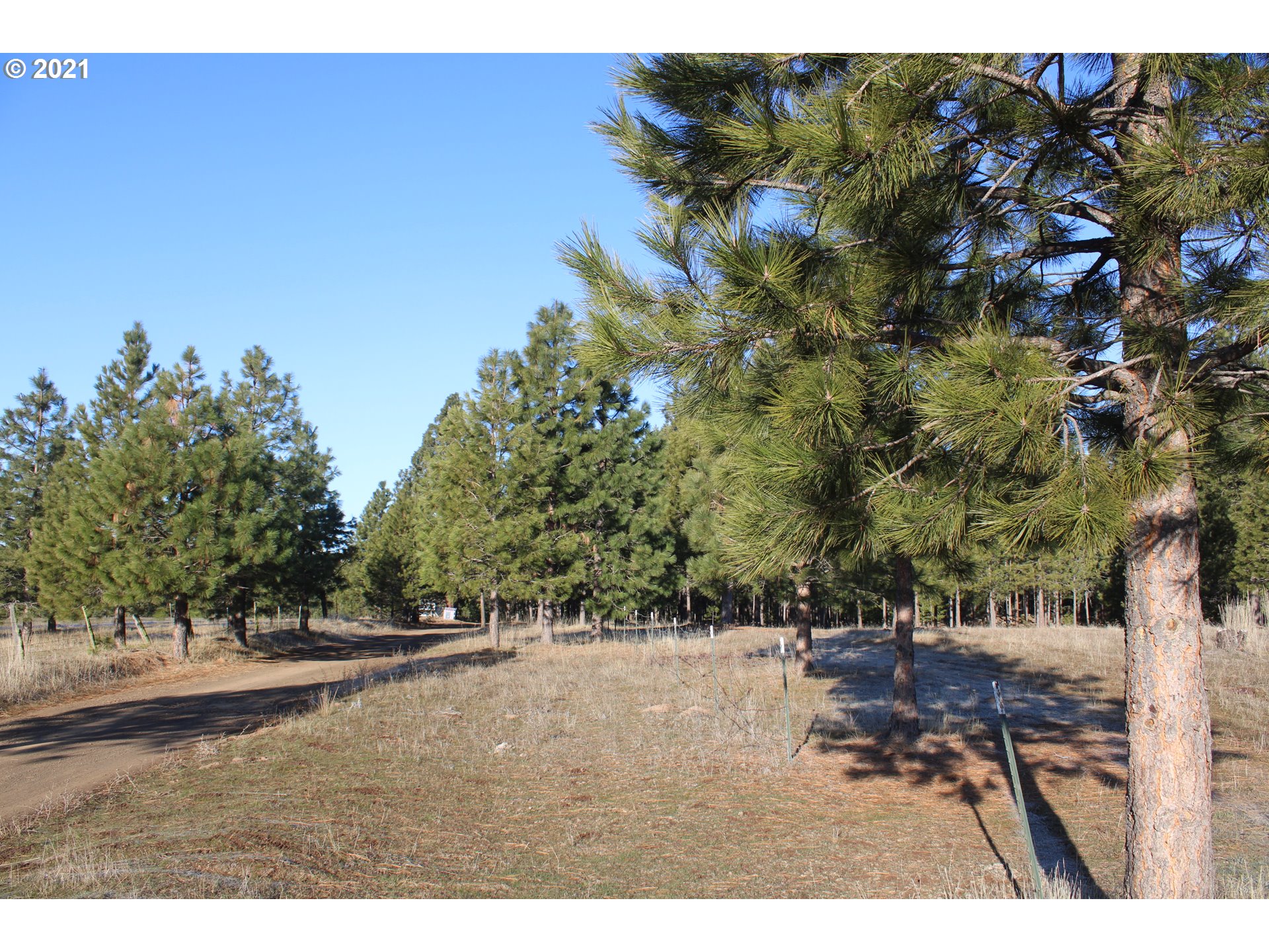 Meech Road, Unit 3 Goldendale, WA 98620 - Photo 9 of 10 Gallery Image 9