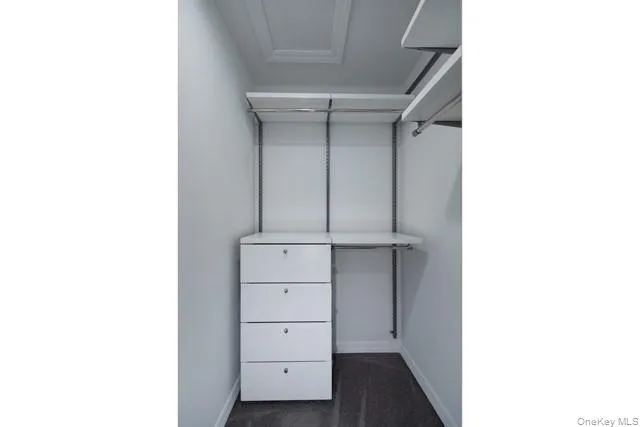 a view of walk in closet with cabinet