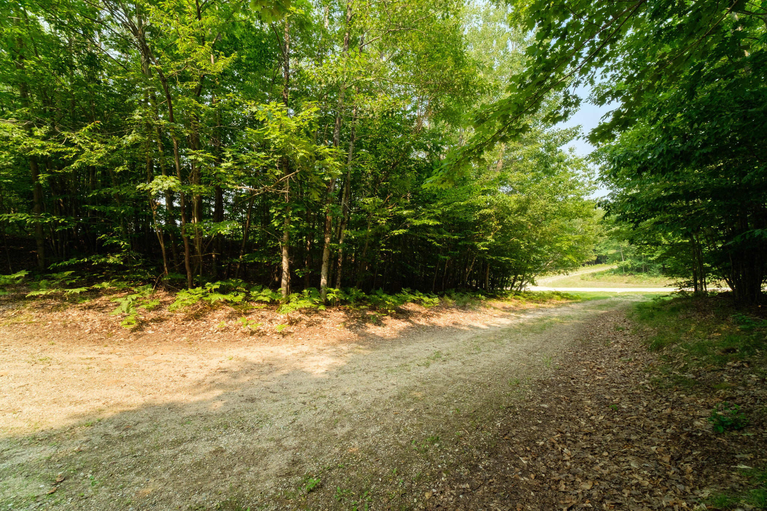 5858 Outback Ridge Manistee, MI 49660 - Photo 12 of 49 Property views