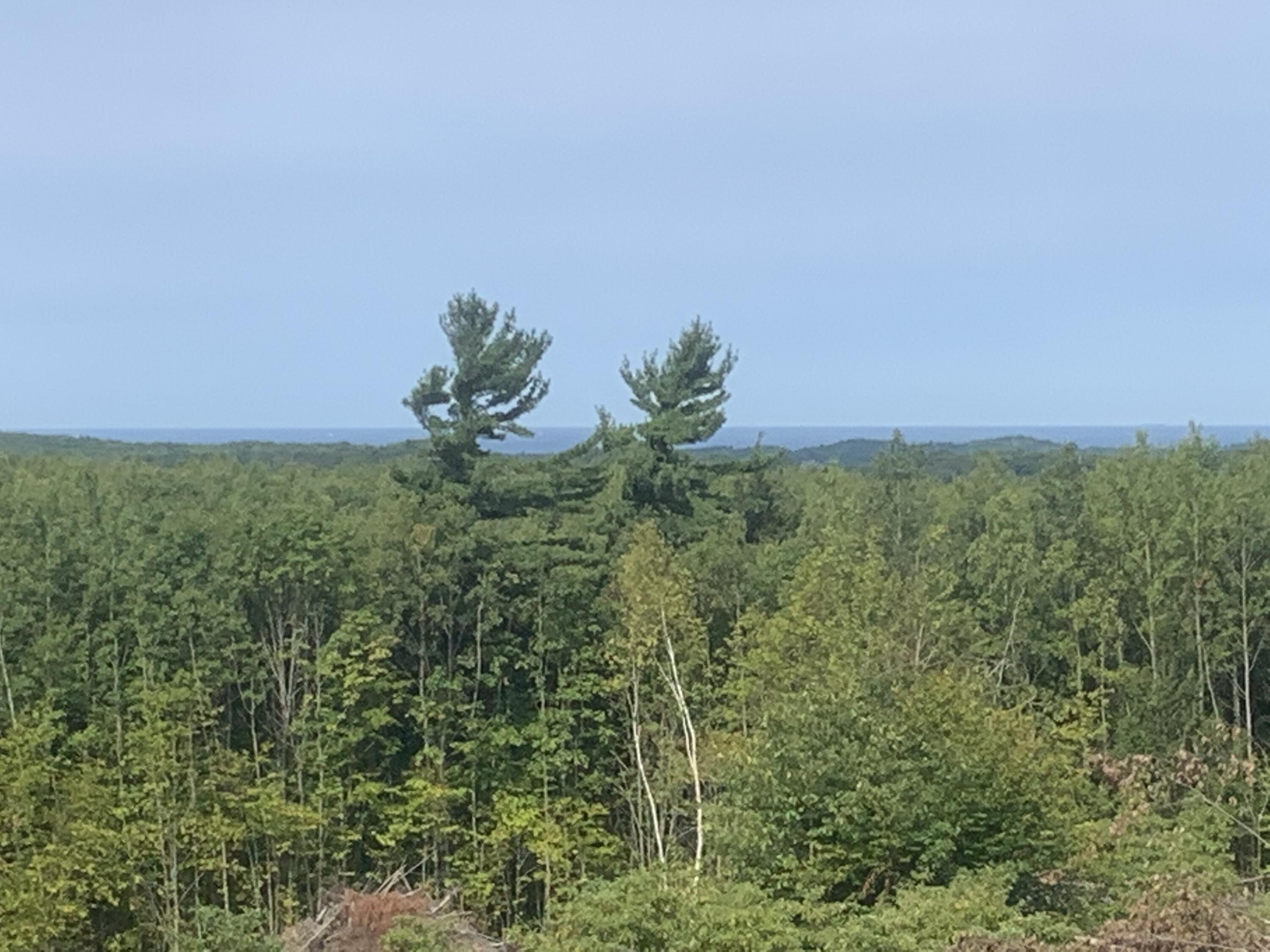 5858 Outback Ridge Manistee, MI 49660 - Photo 13 of 49 Lake Michigan view