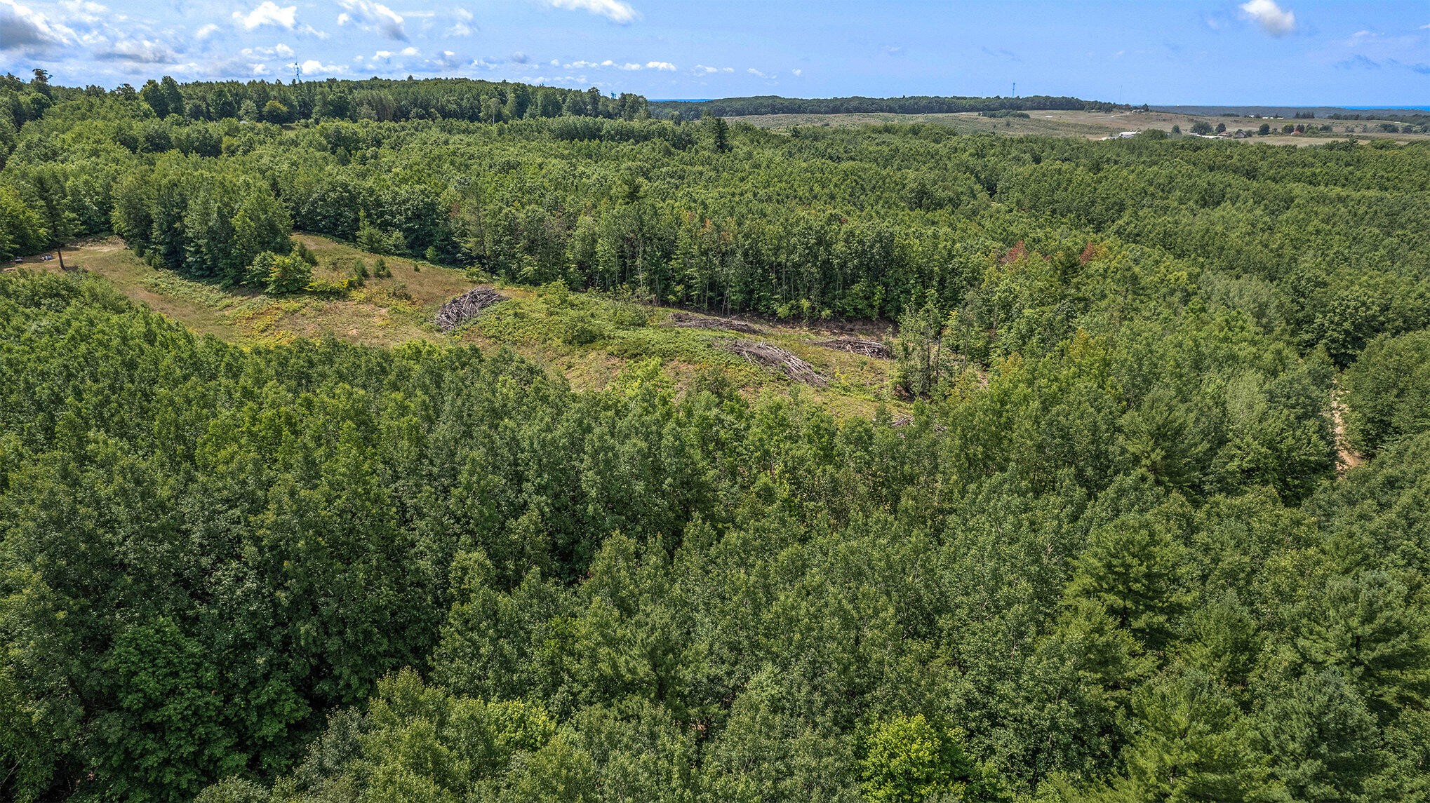 5858 Outback Ridge Manistee, MI 49660 - Photo 19 of 49 New