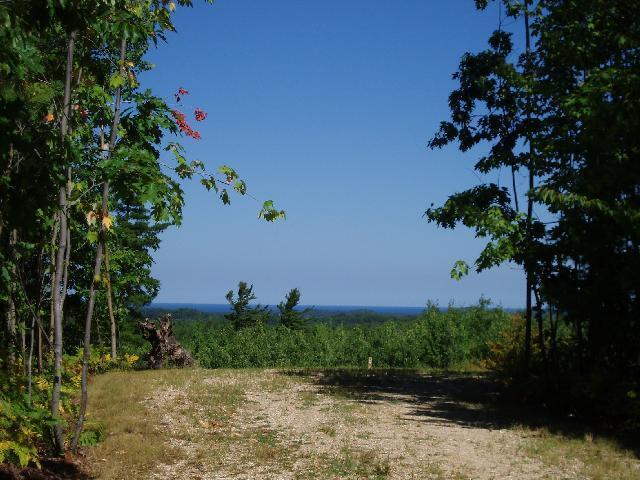 5858 Outback Ridge Manistee, MI 49660 - Photo 2 of 49 Lake view from ground