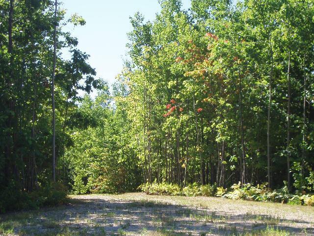 5858 Outback Ridge Manistee, MI 49660 - Photo 27 of 49 Property views