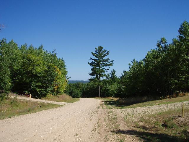 5858 Outback Ridge Manistee, MI 49660 - Photo 28 of 49 Outback Ridge with beautiful pines
