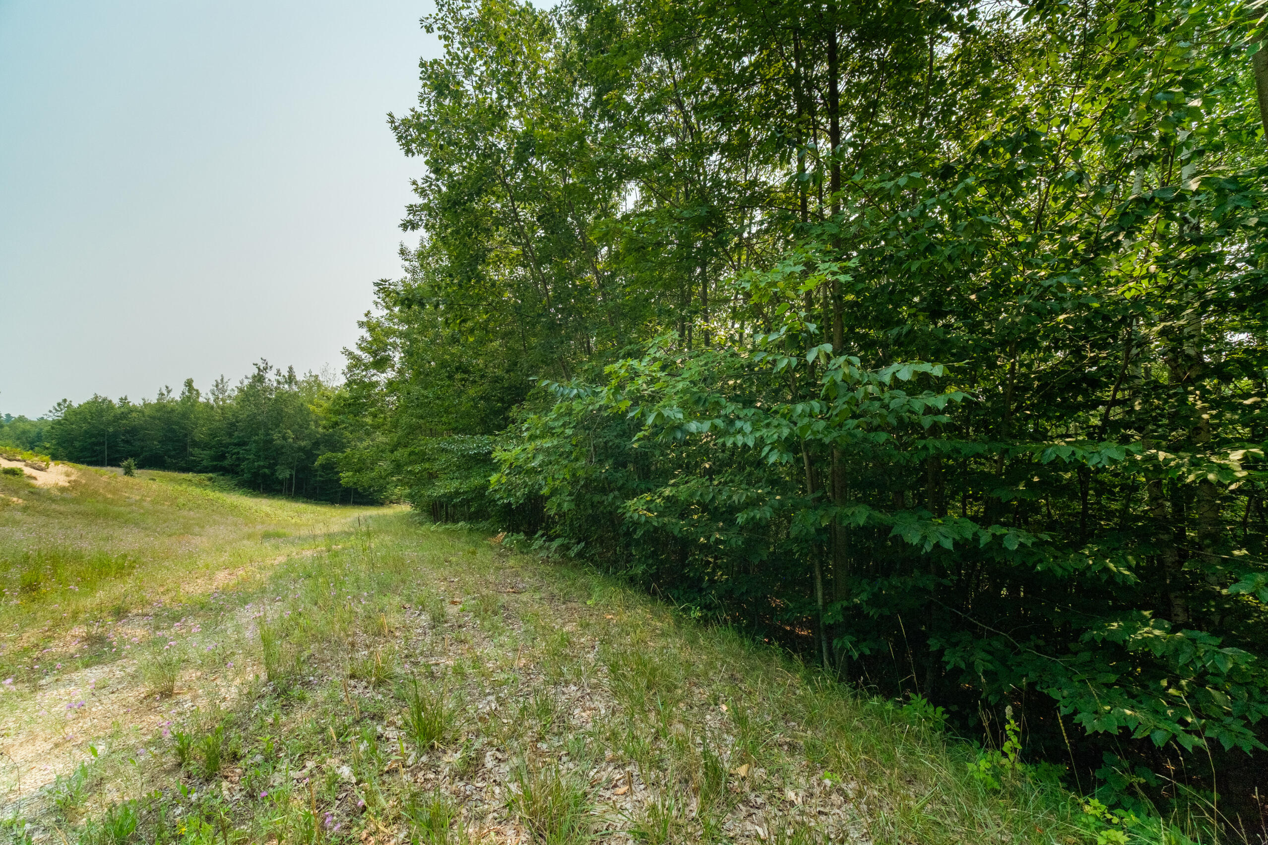 5858 Outback Ridge Manistee, MI 49660 - Photo 29 of 49 Property views