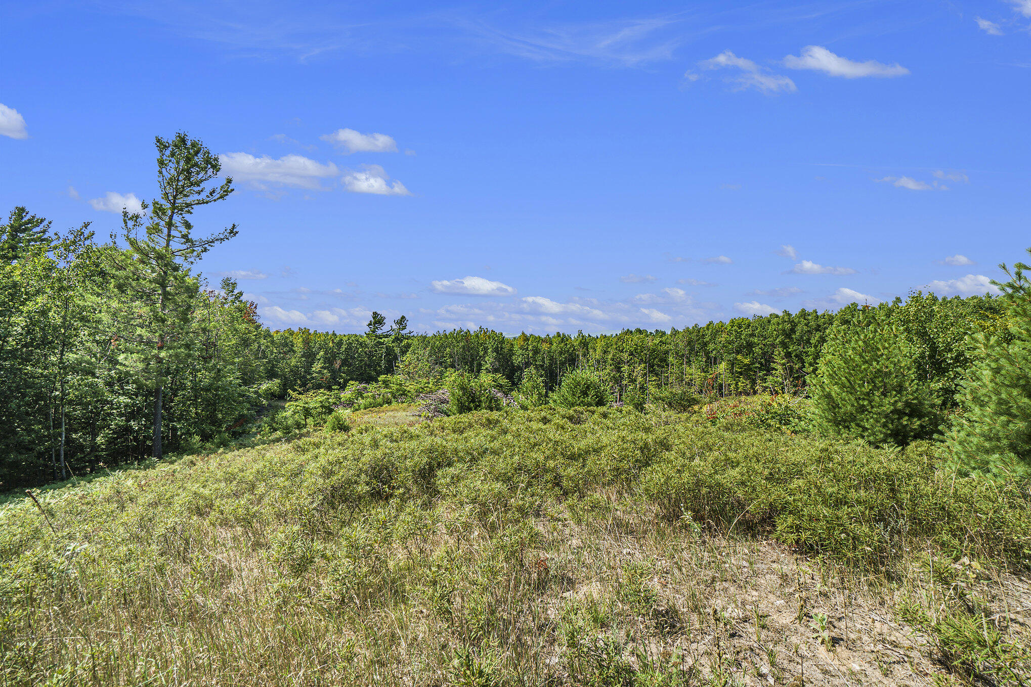 5858 Outback Ridge Manistee, MI 49660 - Photo 3 of 49 Big sky views