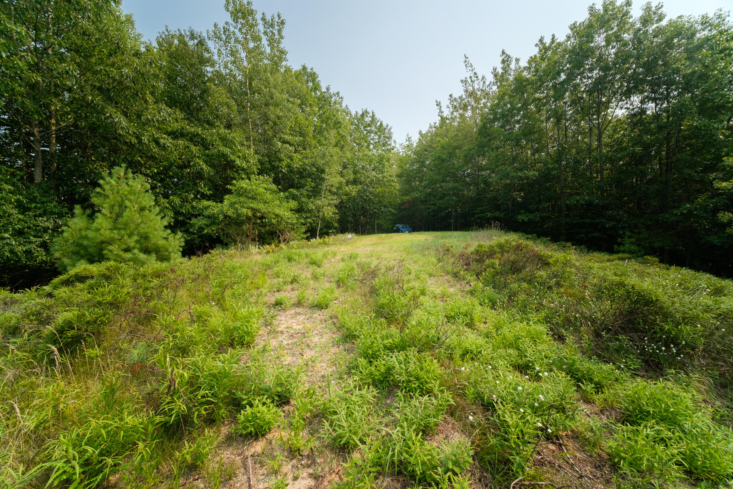 5858 Outback Ridge Manistee, MI 49660 - Photo 33 of 49 Property views