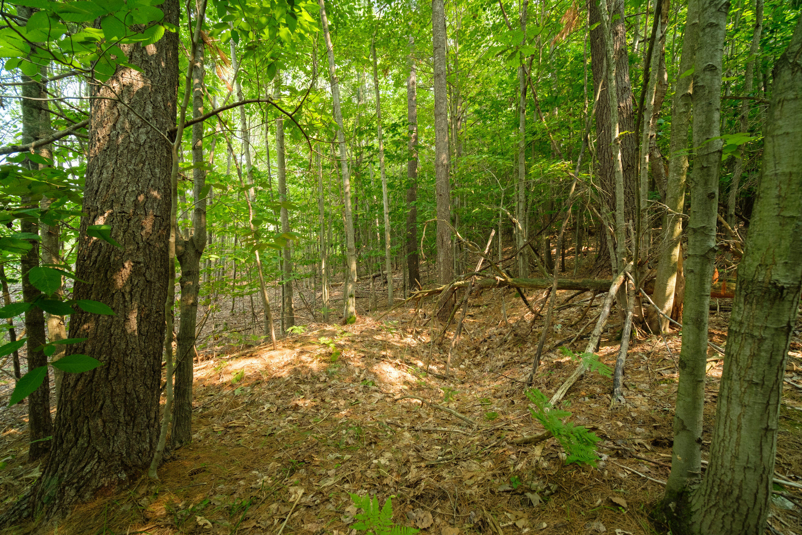 5858 Outback Ridge Manistee, MI 49660 - Photo 38 of 49 Property views
