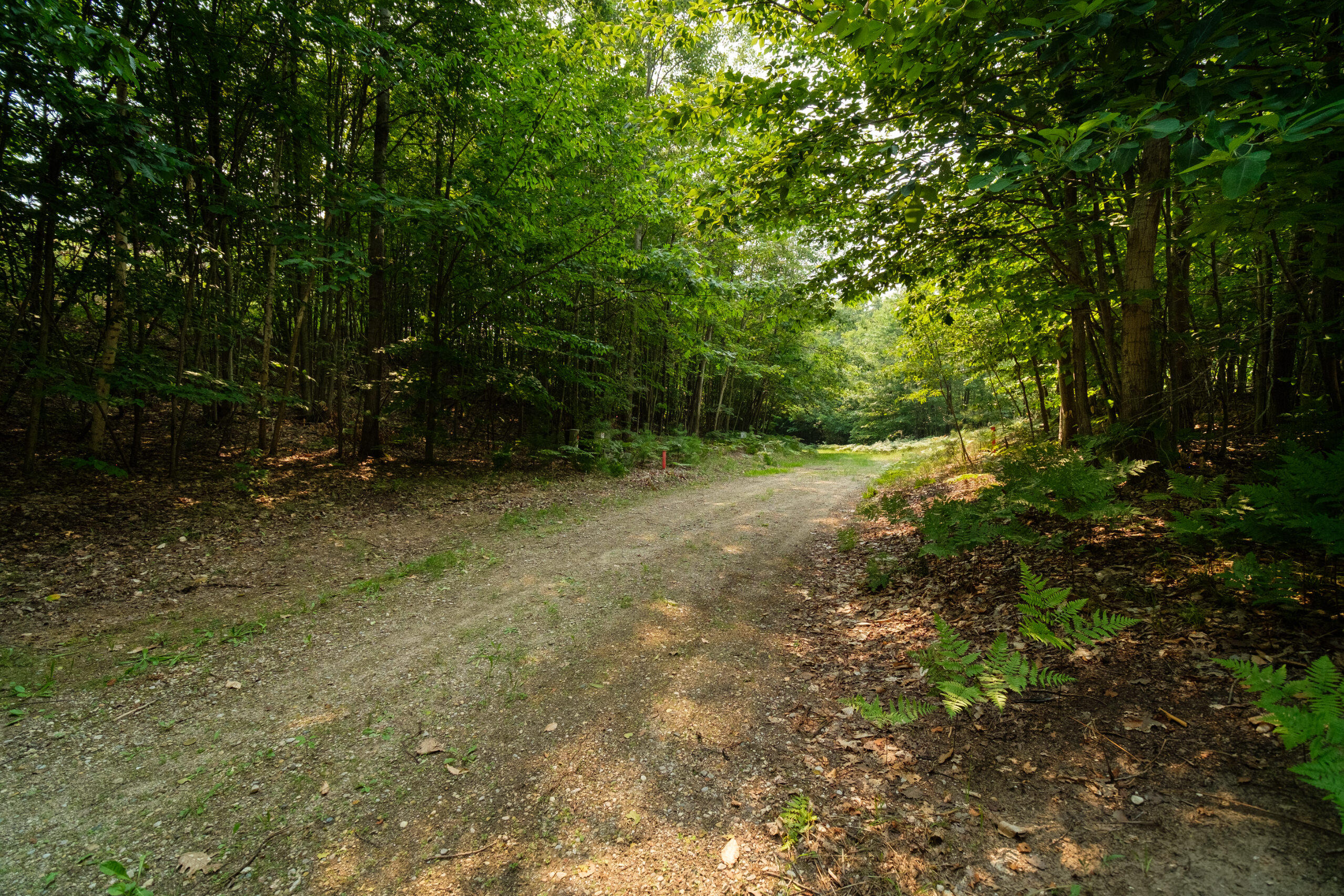 5858 Outback Ridge Manistee, MI 49660 - Photo 40 of 49 Property views