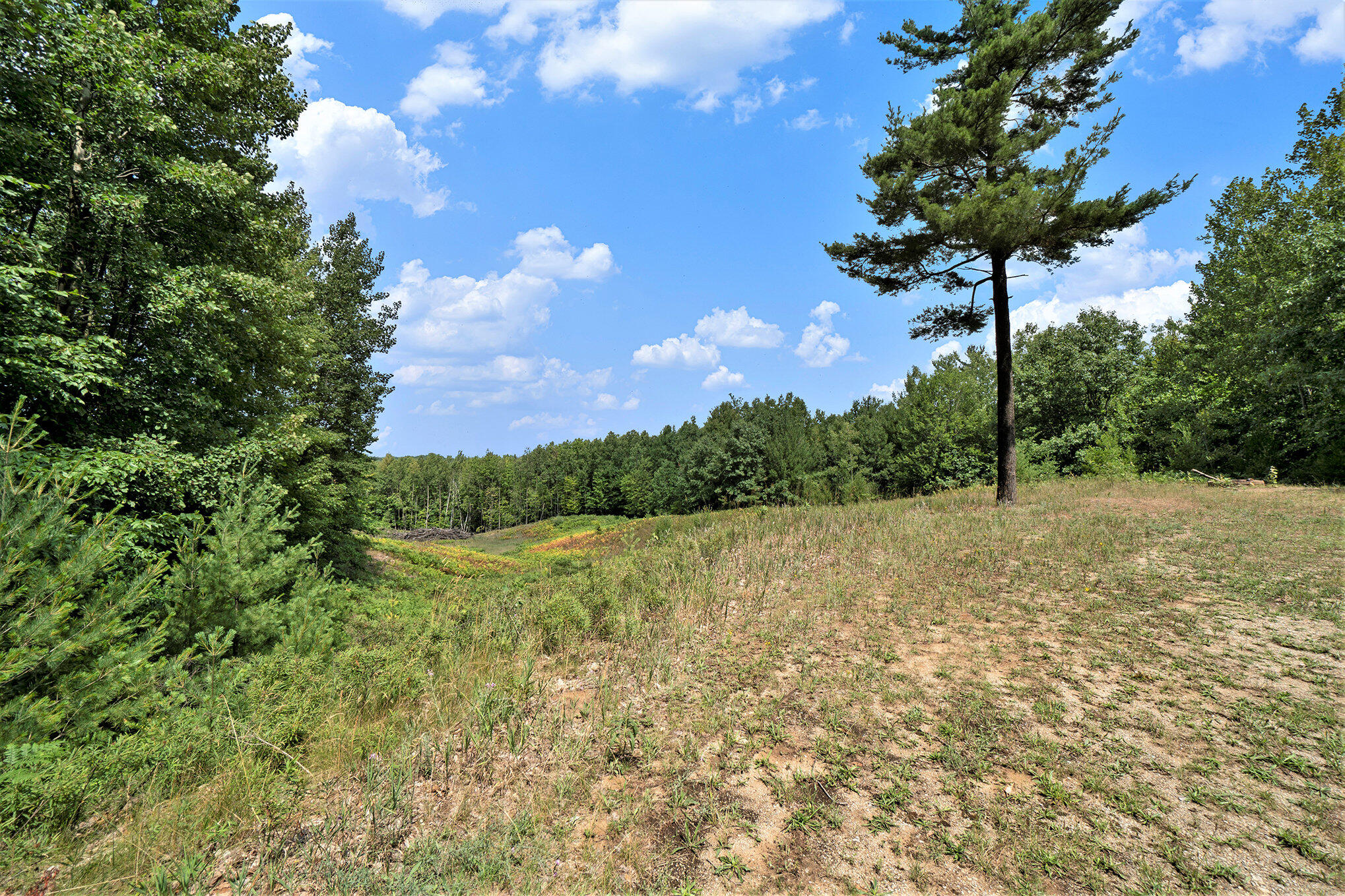 5858 Outback Ridge Manistee, MI 49660 - Photo 4 of 49 Rolling terrain