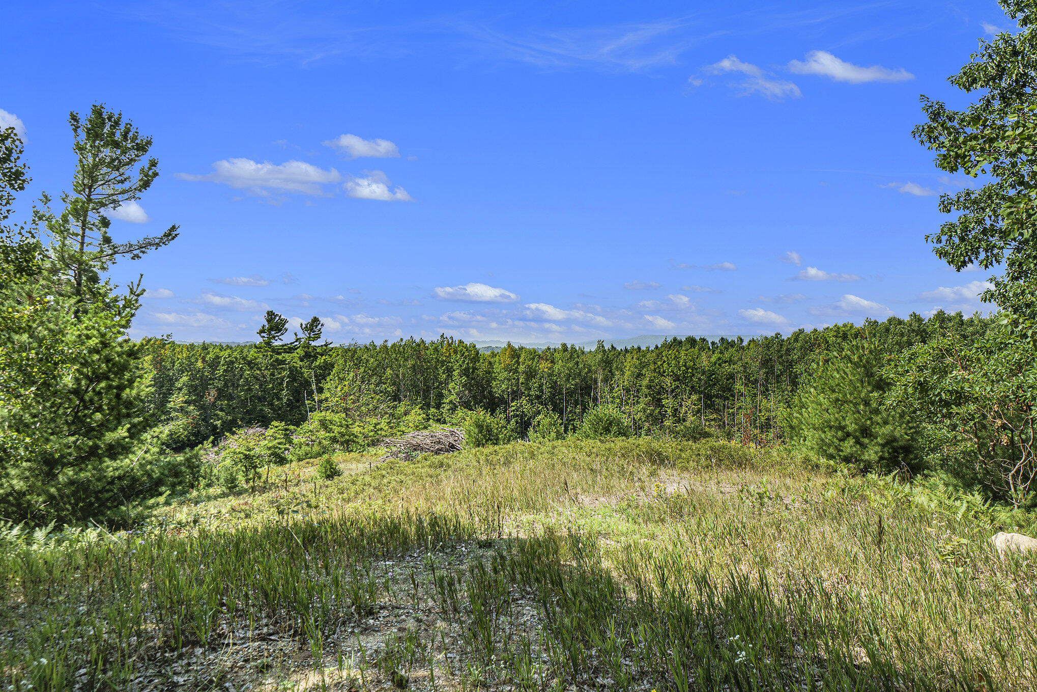 5858 Outback Ridge Manistee, MI 49660 - Photo 8 of 49 Beautiful open meadows