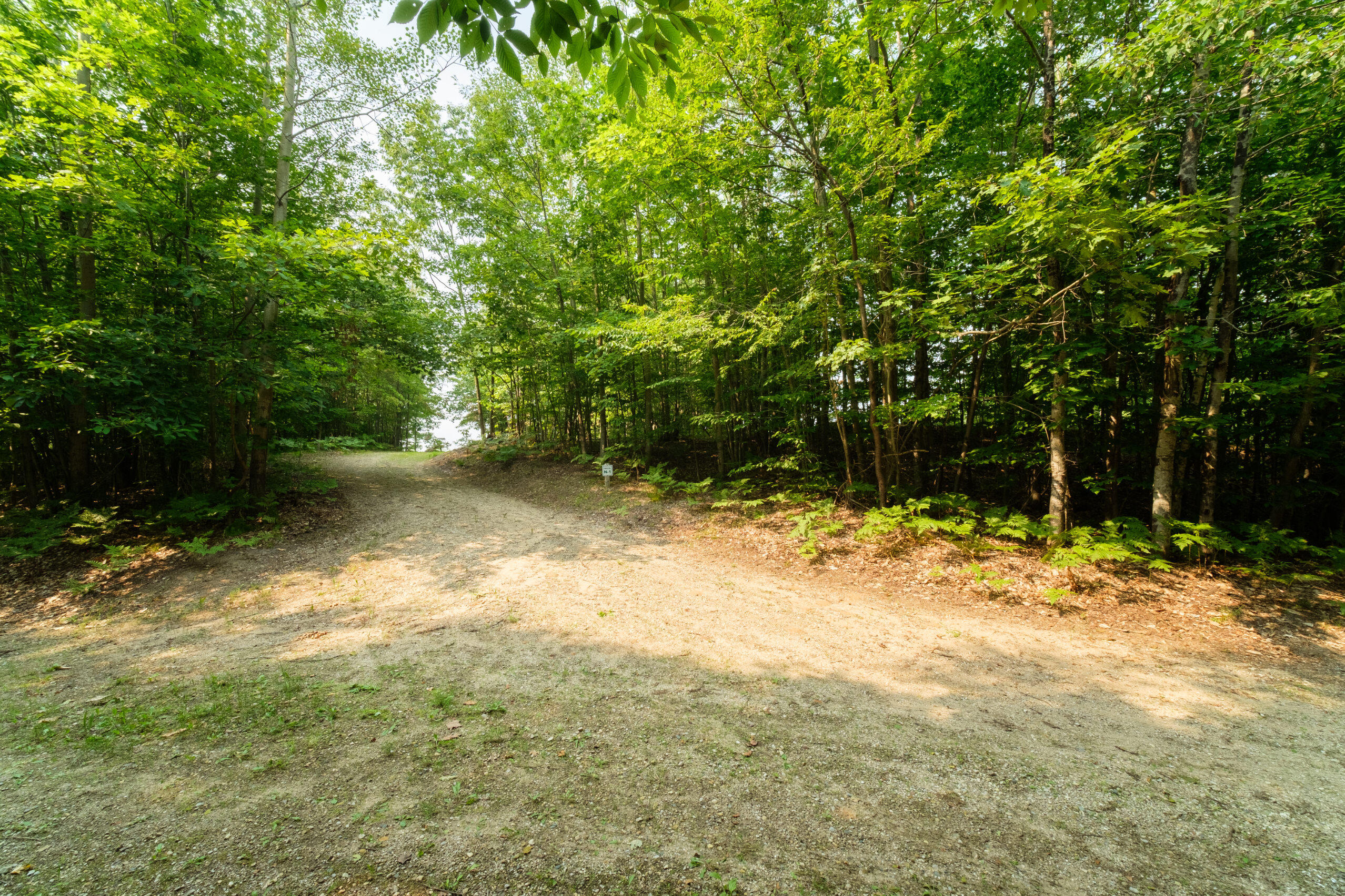5858 Outback Ridge Manistee, MI 49660 - Photo 10 of 49 Driveway to building site