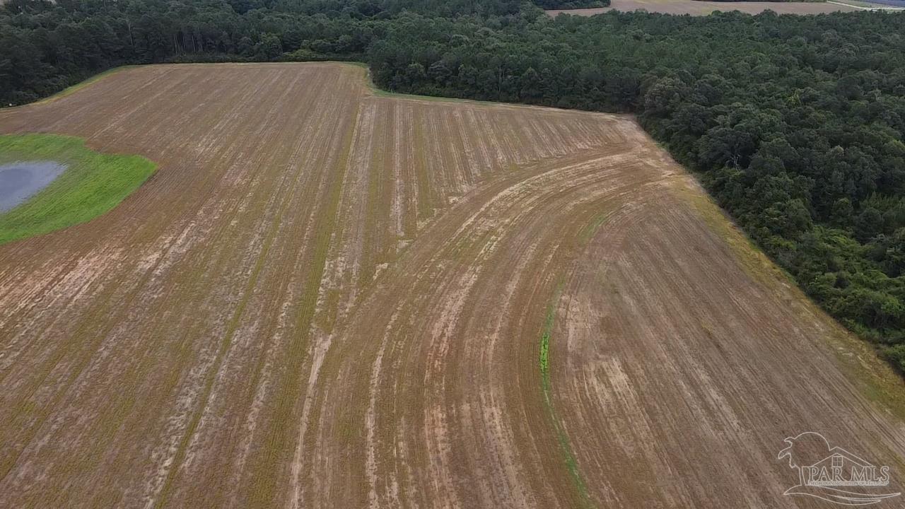 7600 Bratt Road Century, FL 32535 - Photo 13 of 41