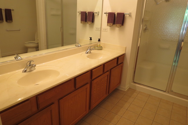 992 Oak Ridge Boulevard Elgin, IL 60120 - Photo 21 of 25 a bathroom with a double vanity sink and mirror