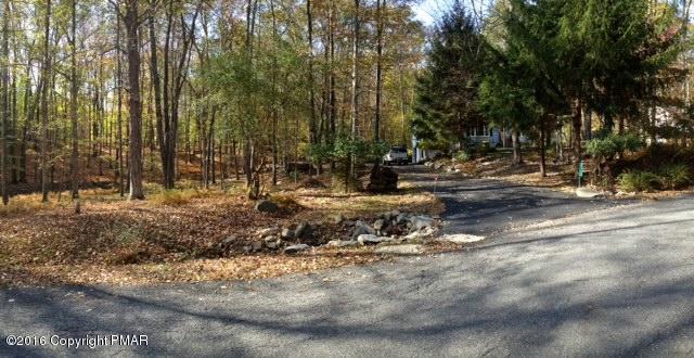 3113 Bear Road Bushkill, PA 18324 - Photo 36 of 38 a view of a yard with a tree