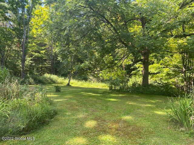 338 Wilson Hill Road Hoosick Falls, NY 12090 - Photo 10 of 44 IMG_4516