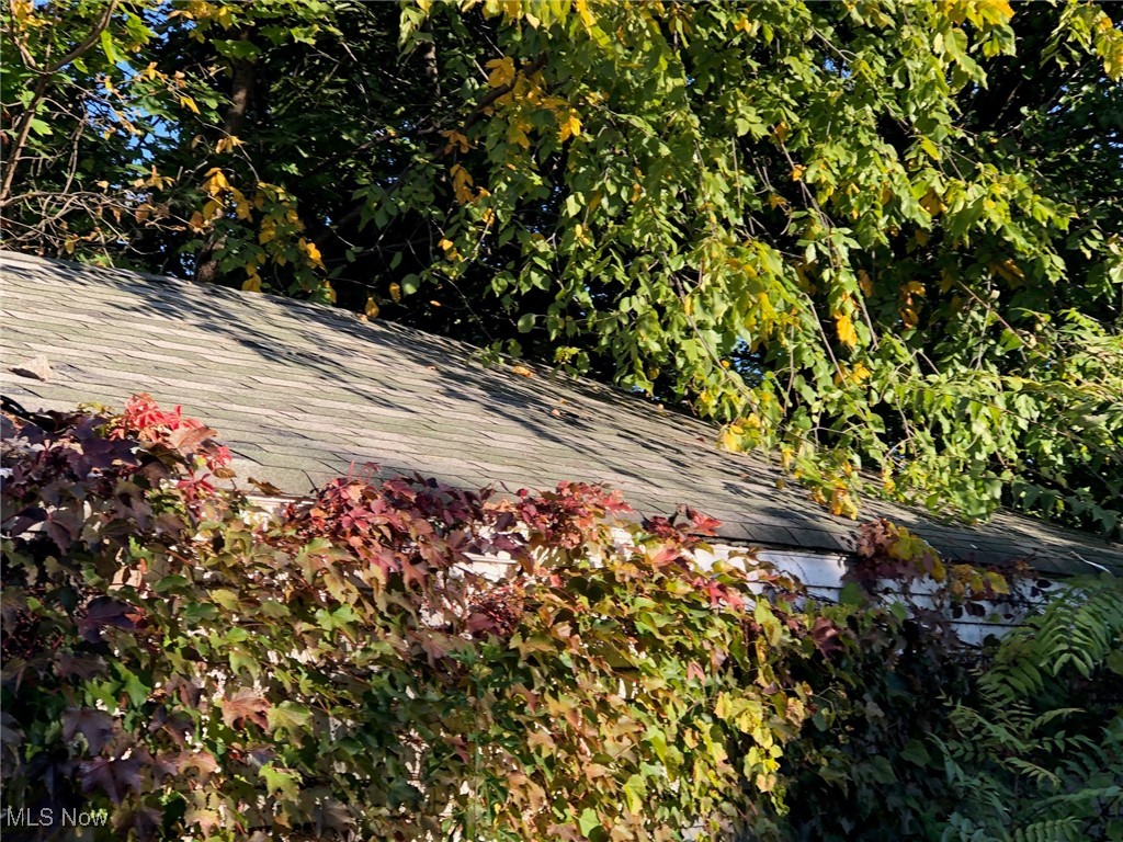 7420 Spafford Road Cleveland, OH 44105 - Photo 10 of 39 Garage roof view