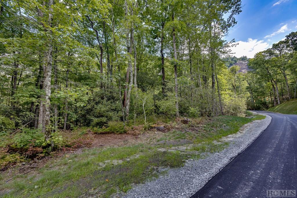 Lot 73 Flagstone Road Sapphire, NC 28774 - Photo 3 of 4 Gallery Image 3