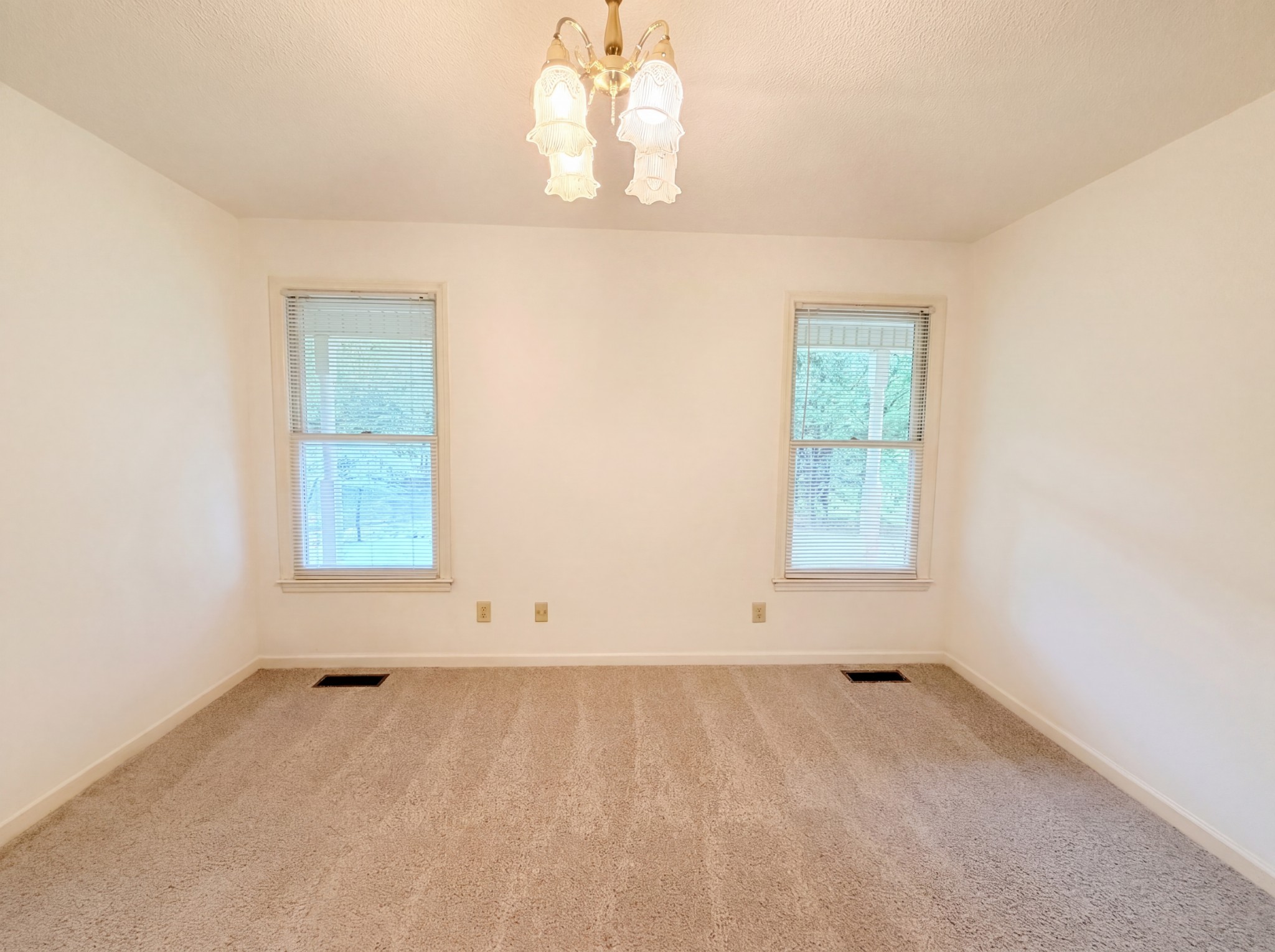 8663 Dog Branch Road Mount Pleasant, TN 38474 - Photo 3 of 19