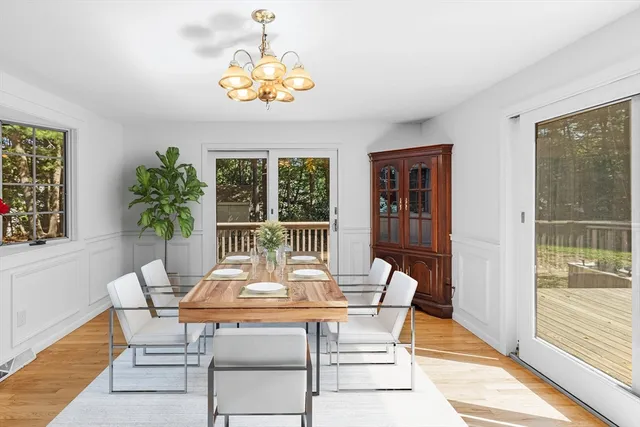 a dining room with furniture a rug and a potted plant