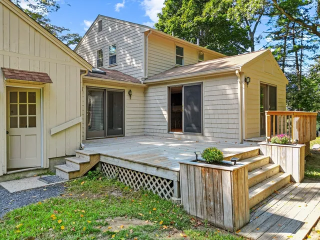 a view of a yard with plants