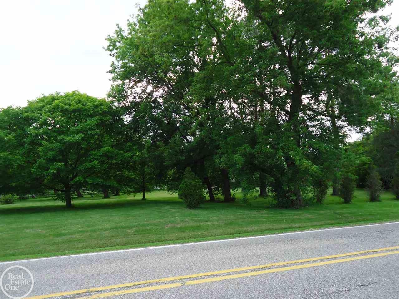 0 Sass Road New Baltimore, MI 48047 - Photo 4 of 10