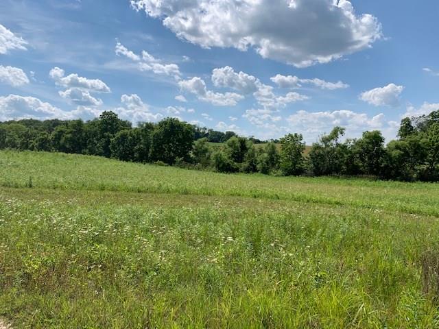 0 Crucible Road Rices Landing, PA 15357 - Photo 7 of 11 Gallery Image 7