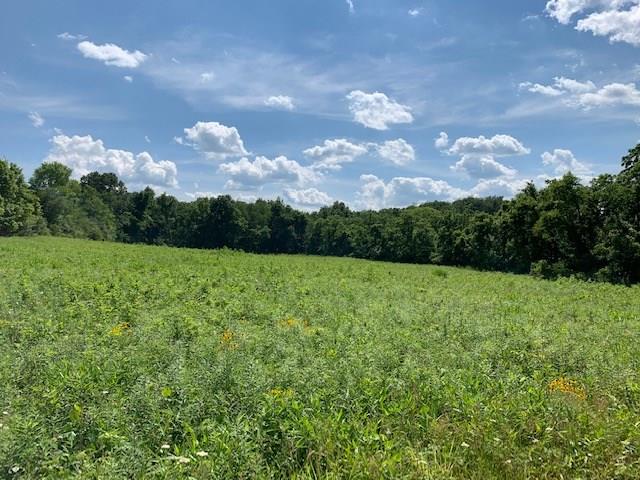 0 Crucible Road Rices Landing, PA 15357 - Photo 10 of 11 Gallery Image 10