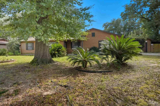 a view of a yard with plants and trees