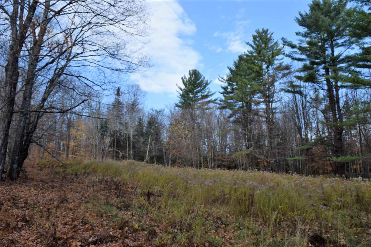 Lot 17.5 Tobyne Road Lunenburg, VT 05906 - Photo 3 of 8
