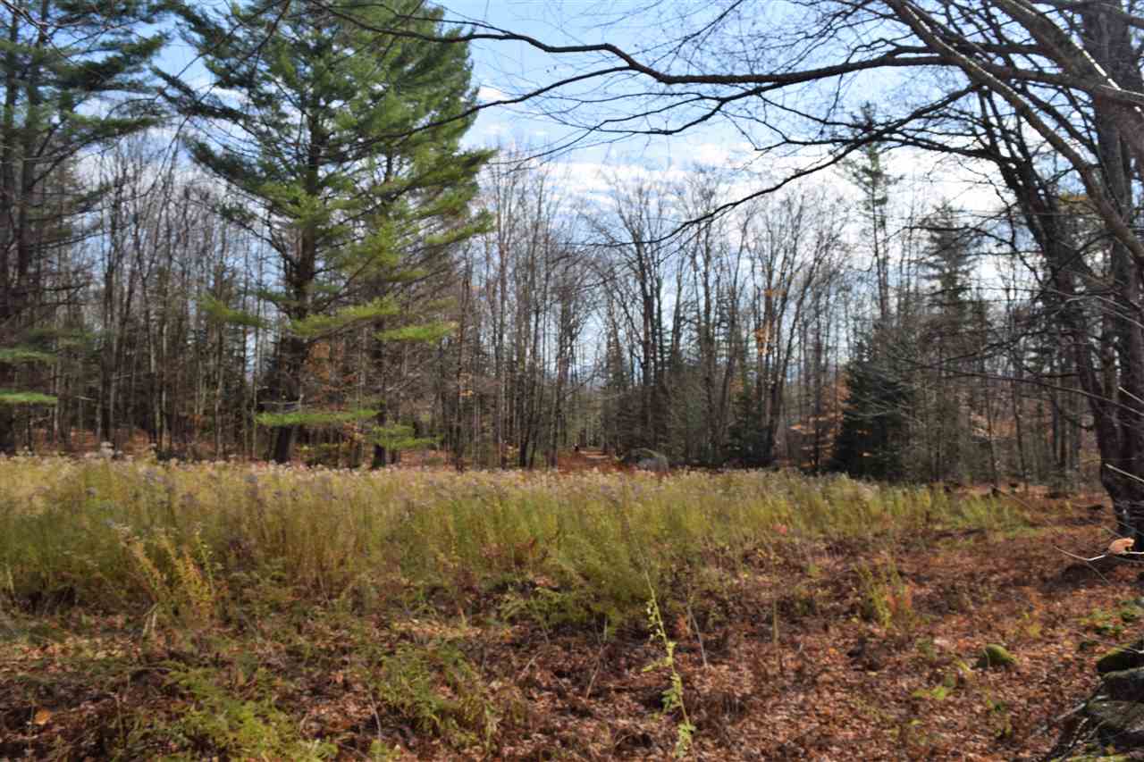 Lot 17.5 Tobyne Road Lunenburg, VT 05906 - Photo 4 of 8