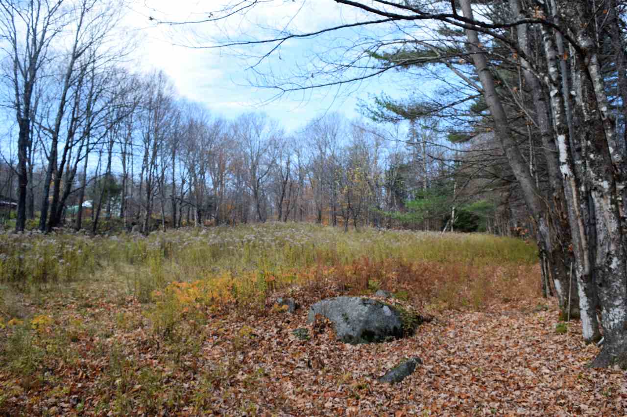 Lot 17.5 Tobyne Road Lunenburg, VT 05906 - Photo 5 of 8