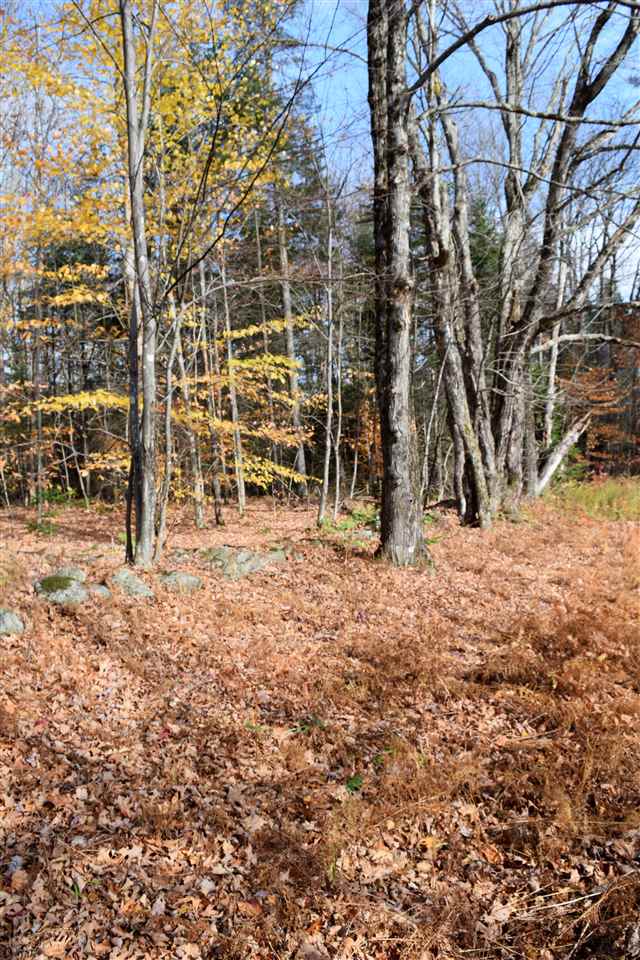 Lot 17.5 Tobyne Road Lunenburg, VT 05906 - Photo 6 of 8