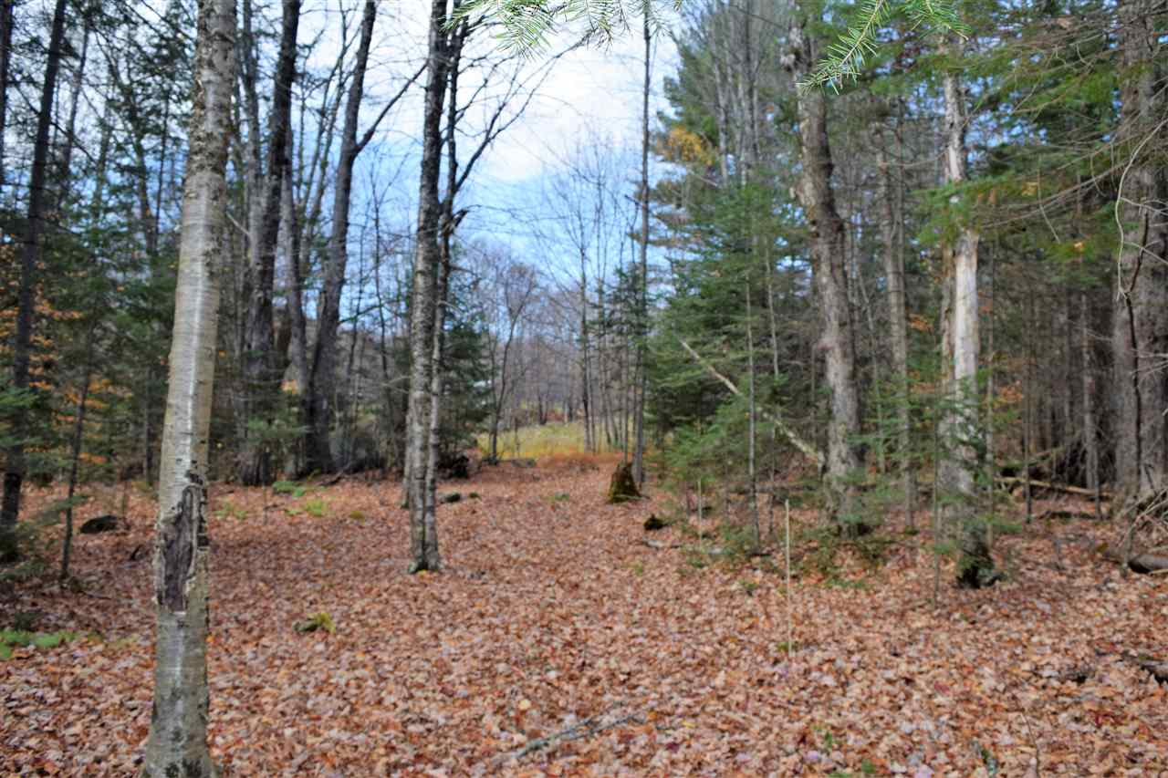 Lot 17.5 Tobyne Road Lunenburg, VT 05906 - Photo 7 of 8