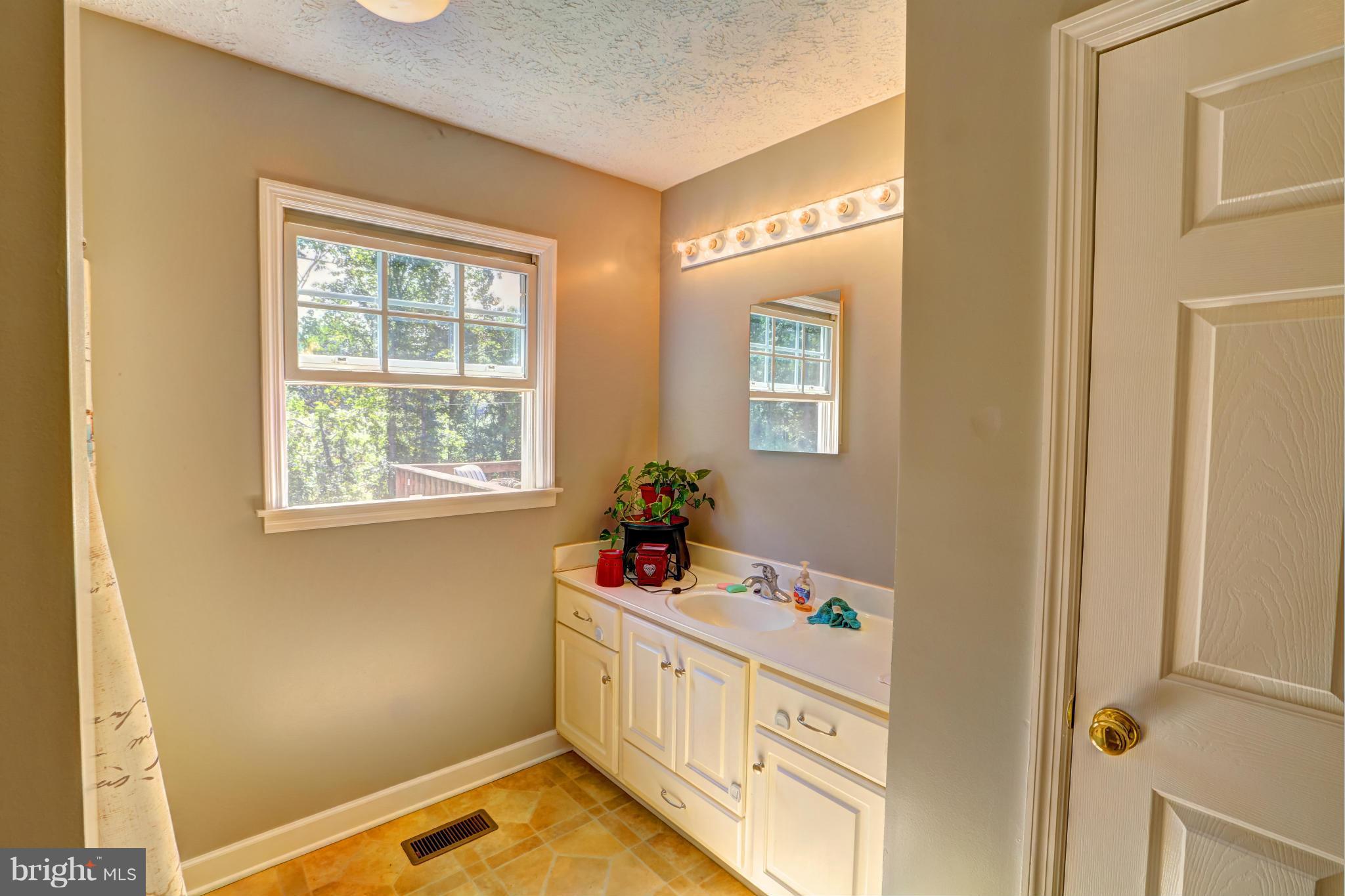 16108 Waterloo Road Amissville, VA 20106 - Photo 10 of 24 Bath (Master)