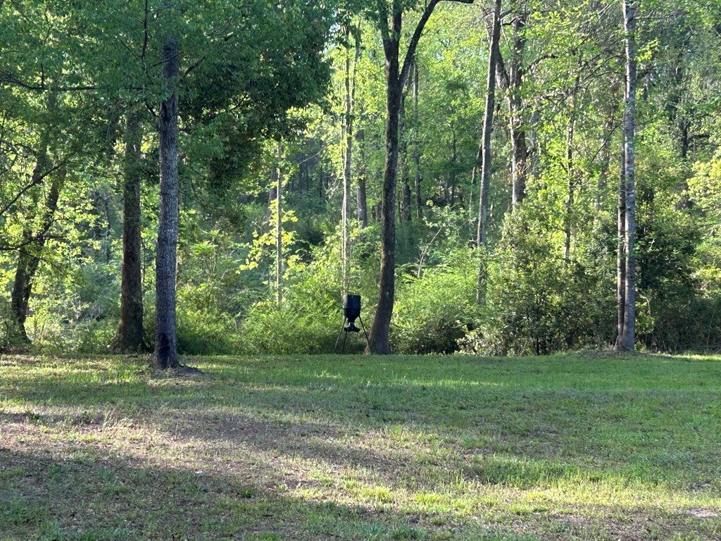 1532 Bold Springs Road Ochlocknee, GA 31773 - Photo 16 of 23 Gallery Image 16
