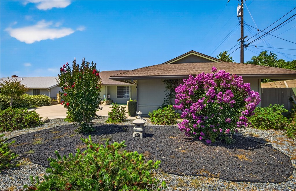 5146 Golden Avenue Riverside, CA 92505 - Photo 3 of 28 Front yard