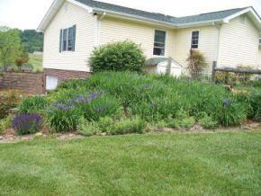 25414 Watauga Road Abingdon, VA 24211 - Photo 14 of 24 Photo 14