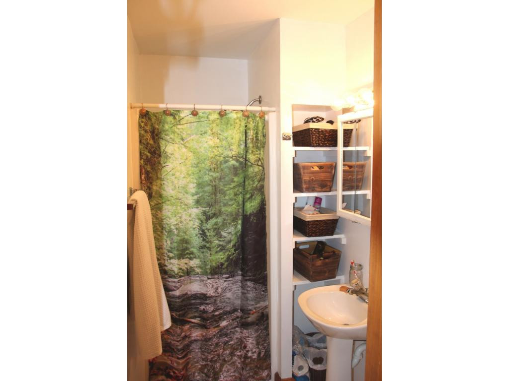 6909 Big Dry Run Road Butler, TN 37640 - Photo 11 of 25 MASTER ENSUITE BATH