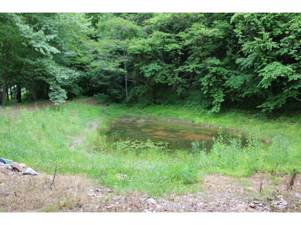 6909 Big Dry Run Road Butler, TN 37640 - Photo 17 of 25 POND