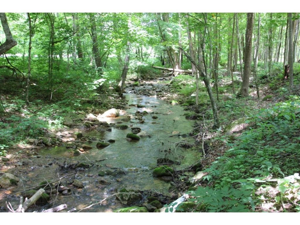 6909 Big Dry Run Road Butler, TN 37640 - Photo 22 of 25 MORE CREEK