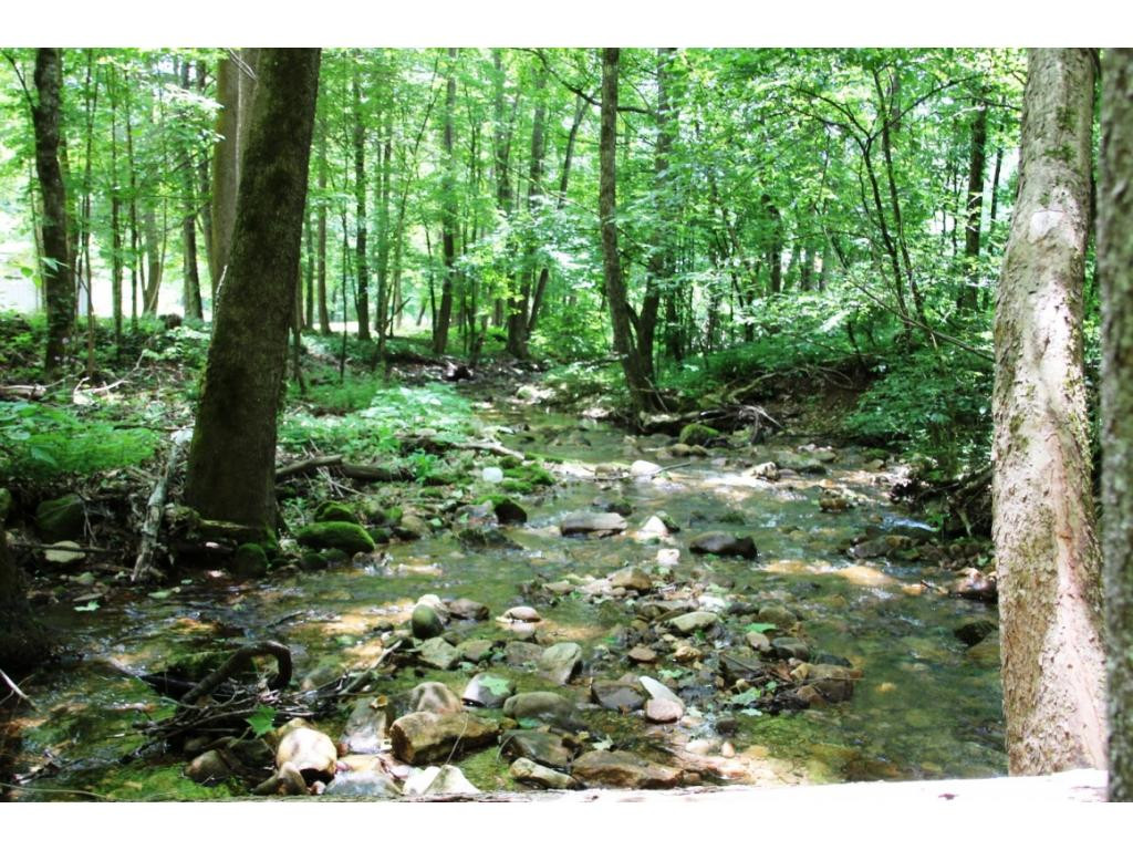 6909 Big Dry Run Road Butler, TN 37640 - Photo 4 of 25 CREEK