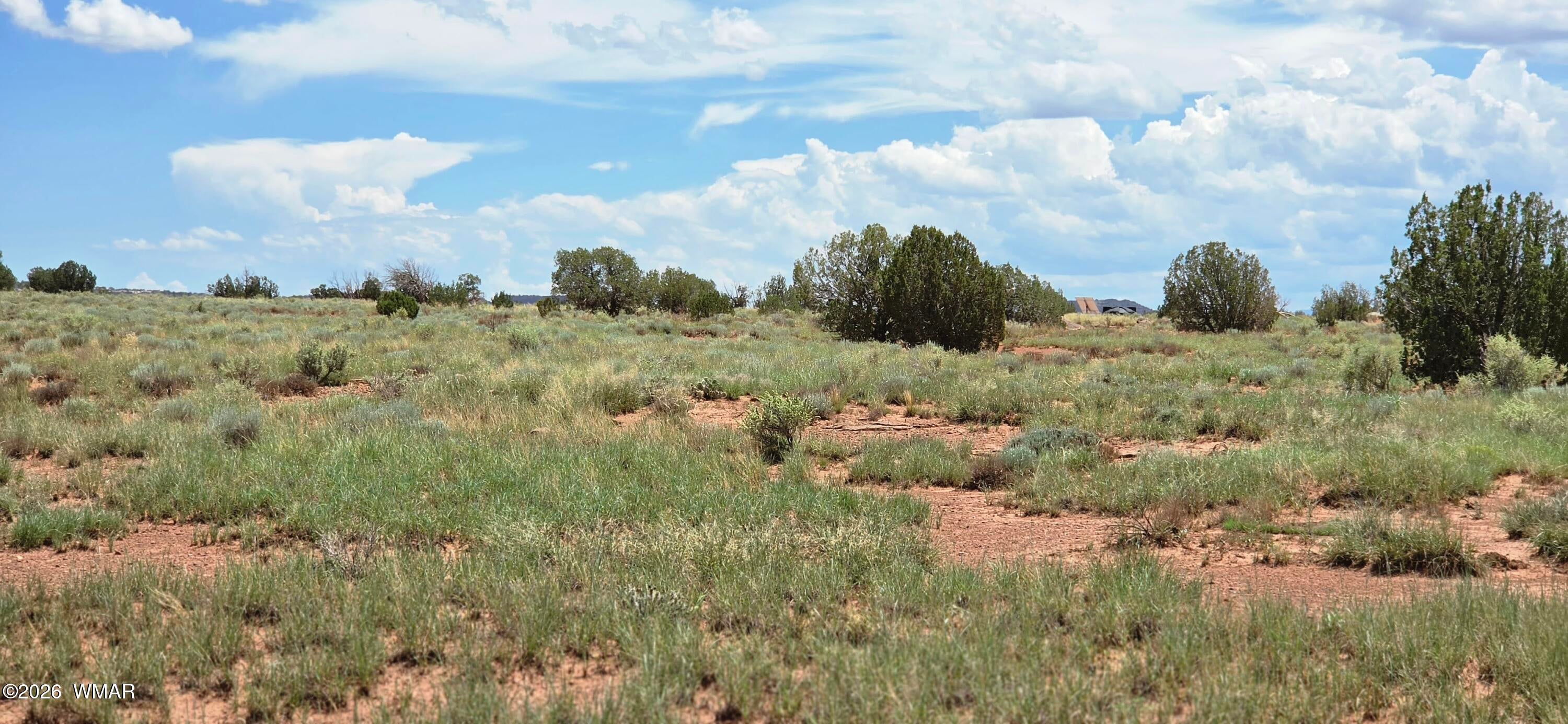 22 Ac Snowflake, AZ 85937 - Photo 12 of 25