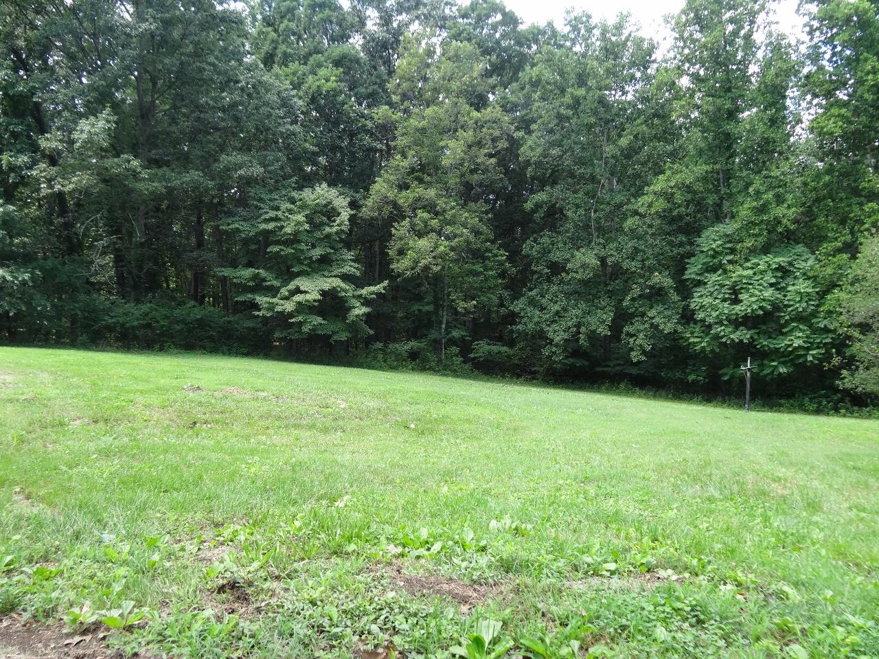 12895 Hardy Road Hardy, VA 24101 - Photo 14 of 15 a view of a yard and basketball court