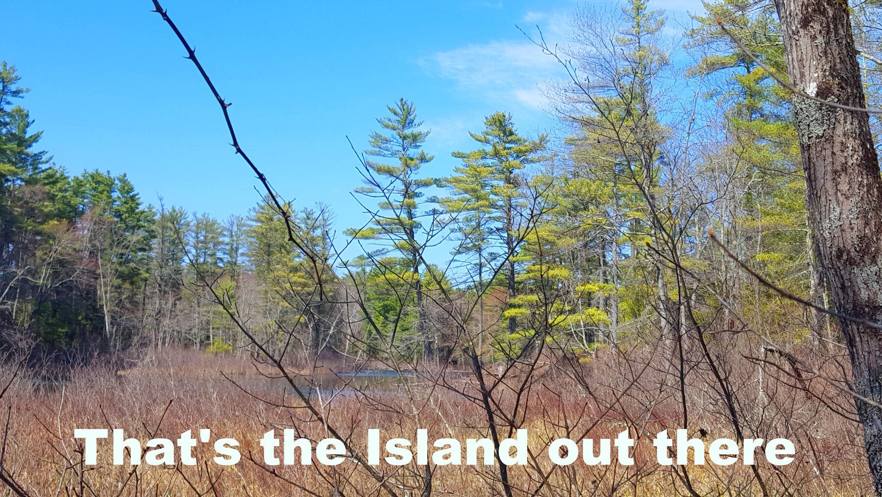 594 River Road Windham, ME 04062 - Photo 21 of 34