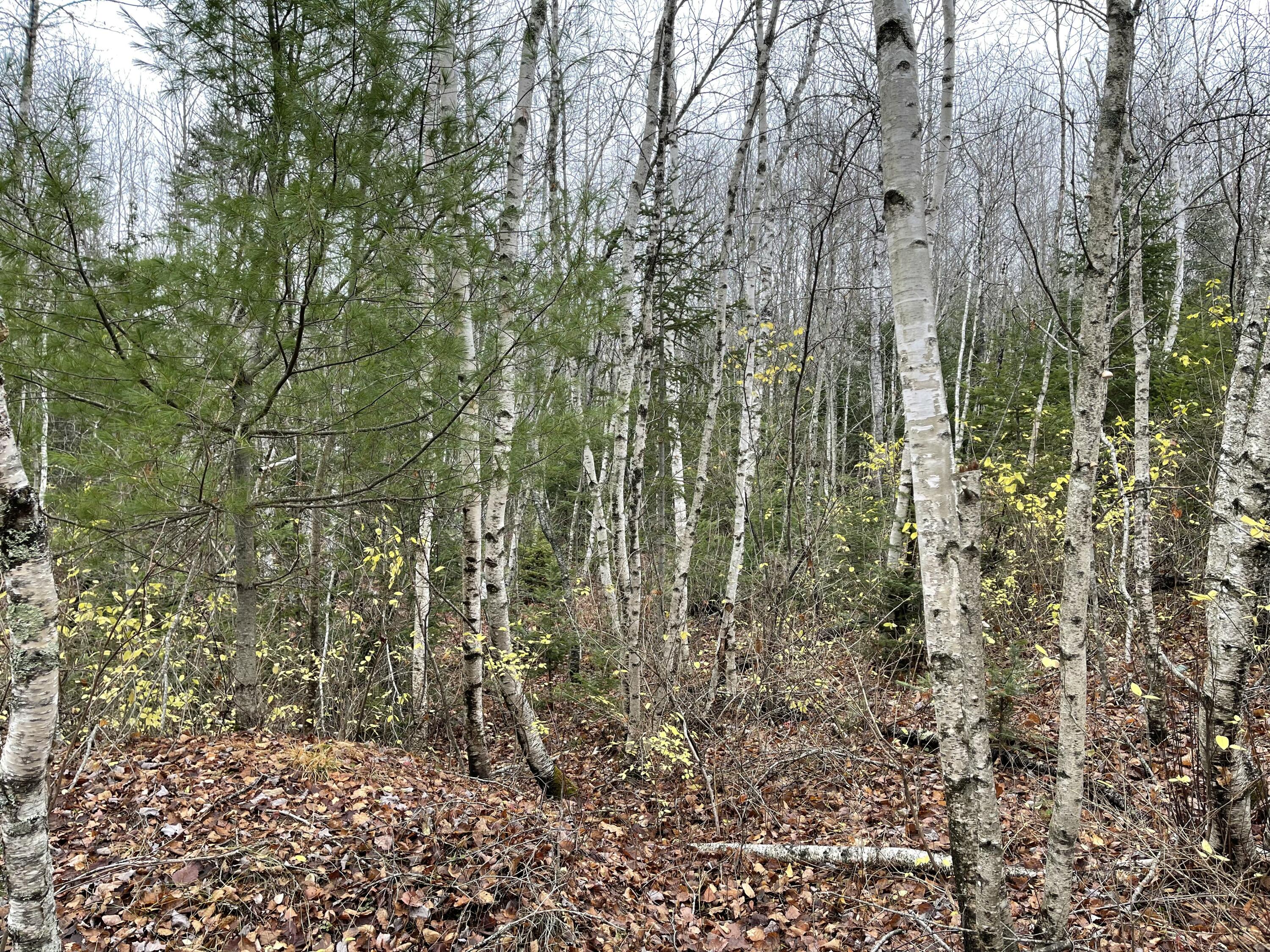 194 East Gulch Road Thorndike, ME 04986 - Photo 11 of 19 194 Gulch Road
