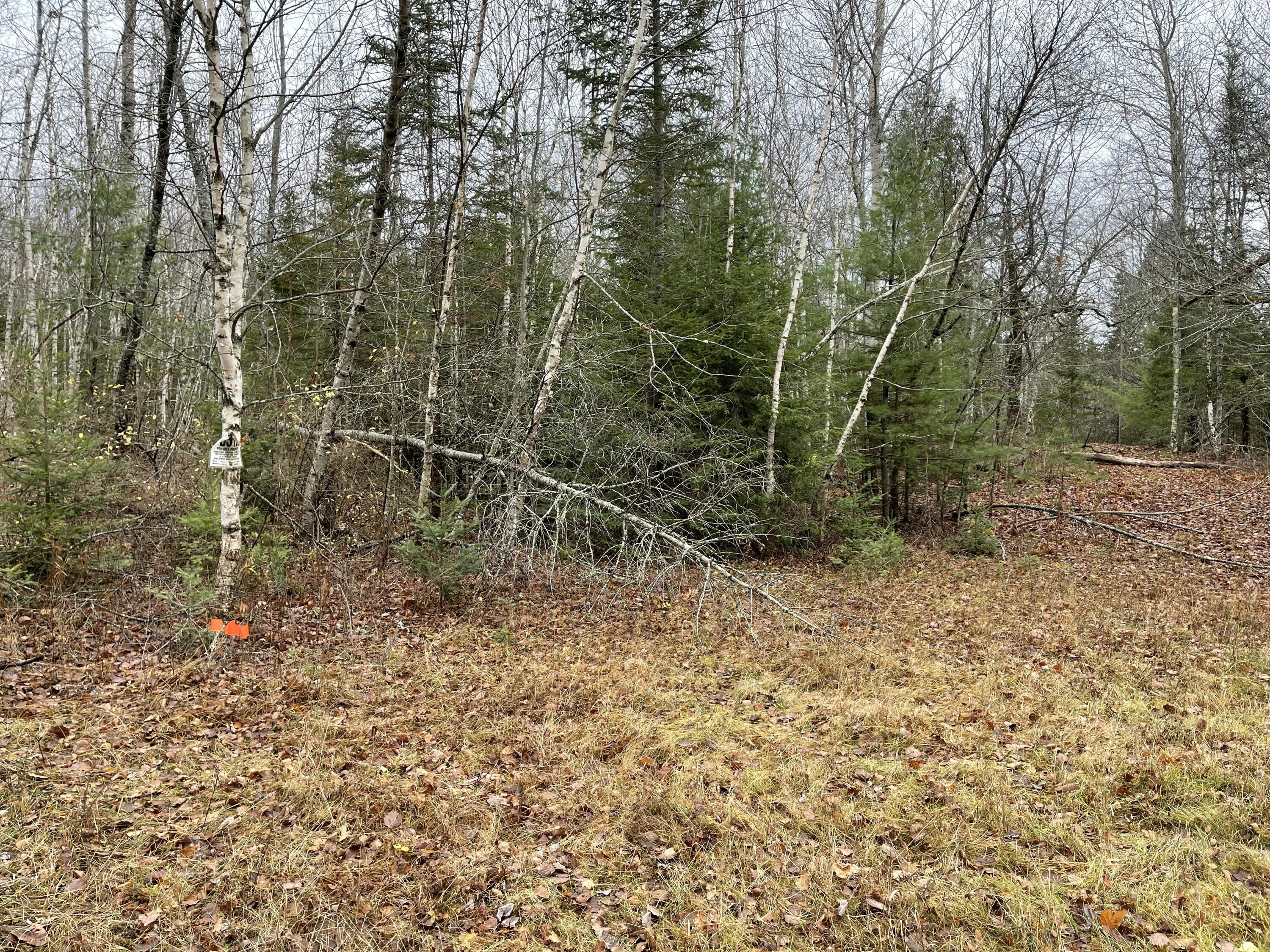 194 East Gulch Road Thorndike, ME 04986 - Photo 15 of 19 194 Gulch Road