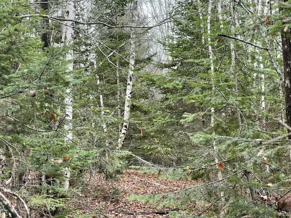 $70,000 | 194 East Gulch Road, Thorndike, ME 04986